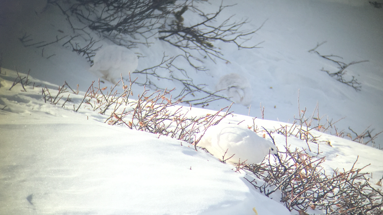 Photo 07-12-15 01 20 10.png